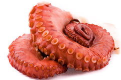 tentacolo intero di polpo cotto